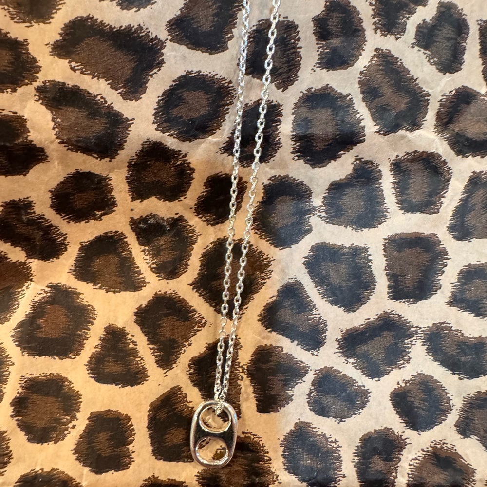 Elegant Silver Pogue Necklace